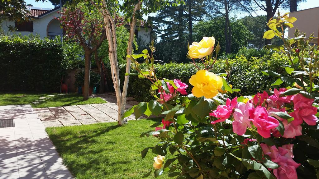 A Due Passi Dal Mare B&B Numana Exterior foto