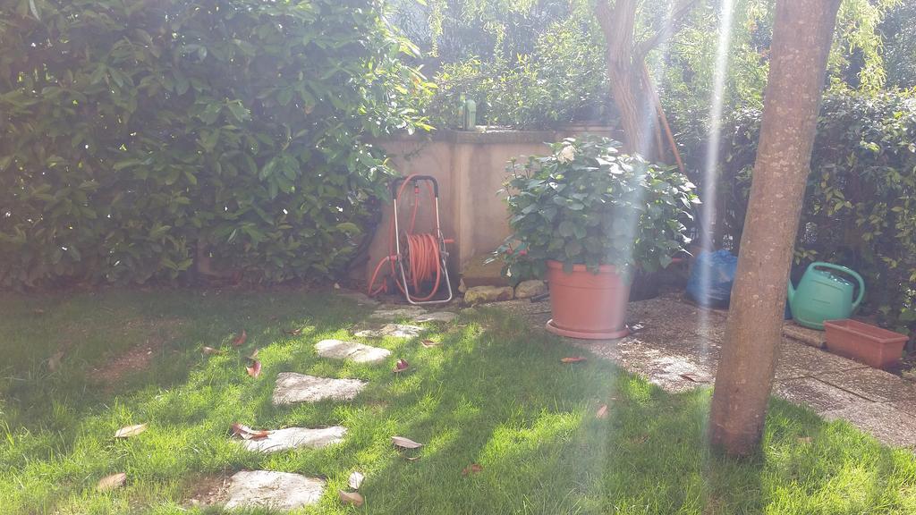 A Due Passi Dal Mare B&B Numana Exterior foto